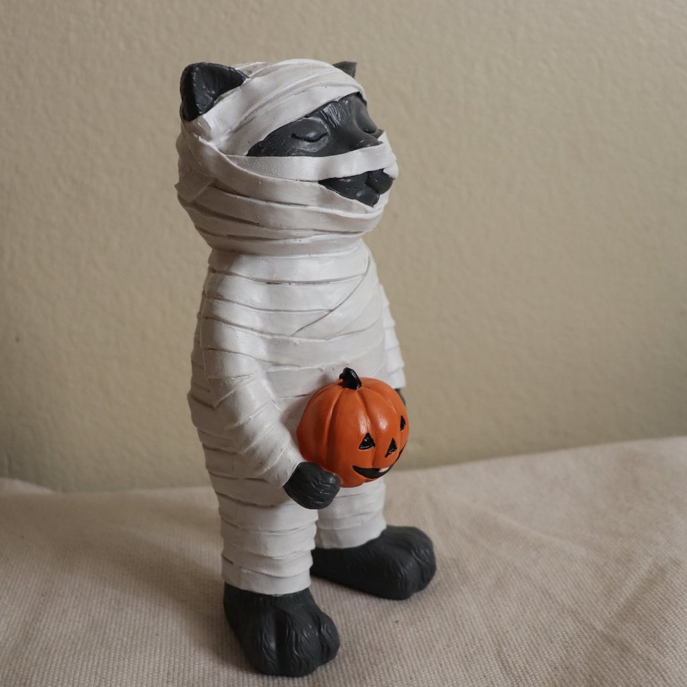 Mummy Cat - Picture 5 of 5